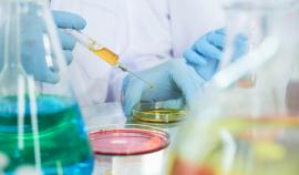 В 2025 году в России зарегистрировали свыше 100 фармпрепаратов